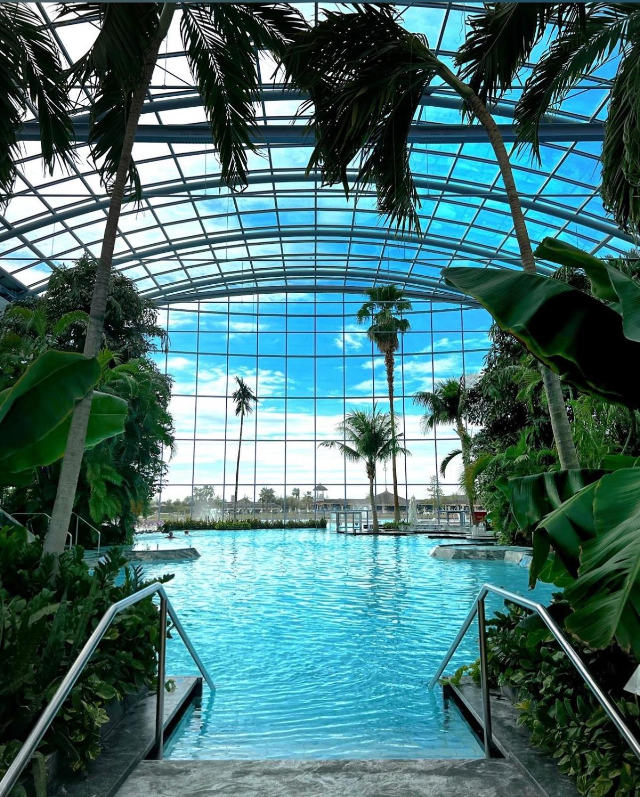 Mona Apartment Taxi#Airport #Parking#Bucharest#Therme Otopeni Exteriör bild